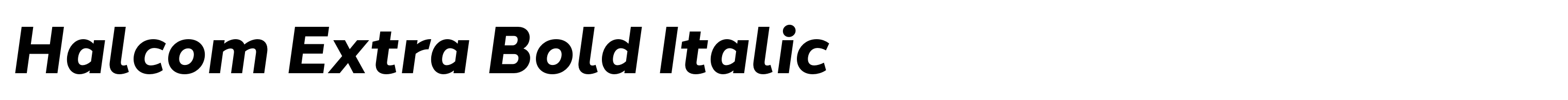 Halcom Extra Bold Italic